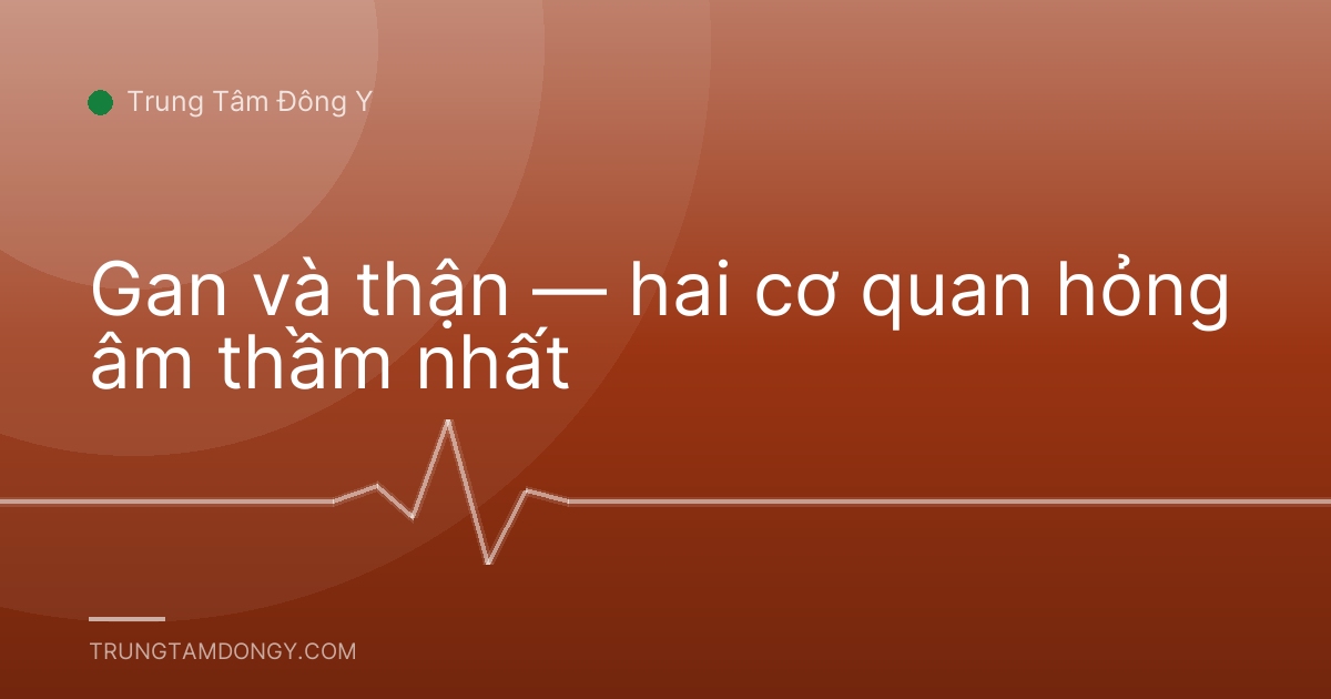 Gan và thận — hai cơ quan hỏng âm thầm nhất